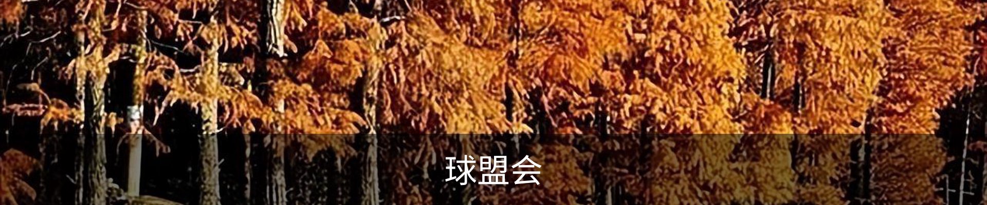 球盟会·QMH (中国)-官方网站
